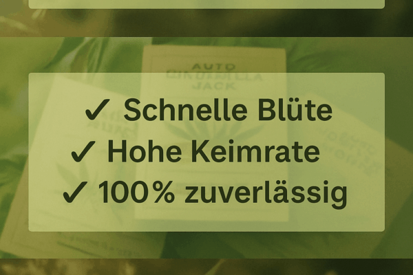 Autoflower Cannabis Samen im Grosshandel - German Bulk Seeds