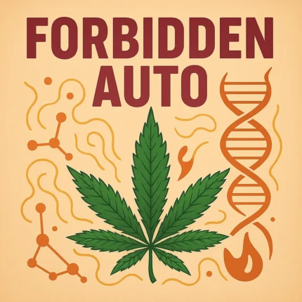 German Bulk Seeds - Auto Forbidden