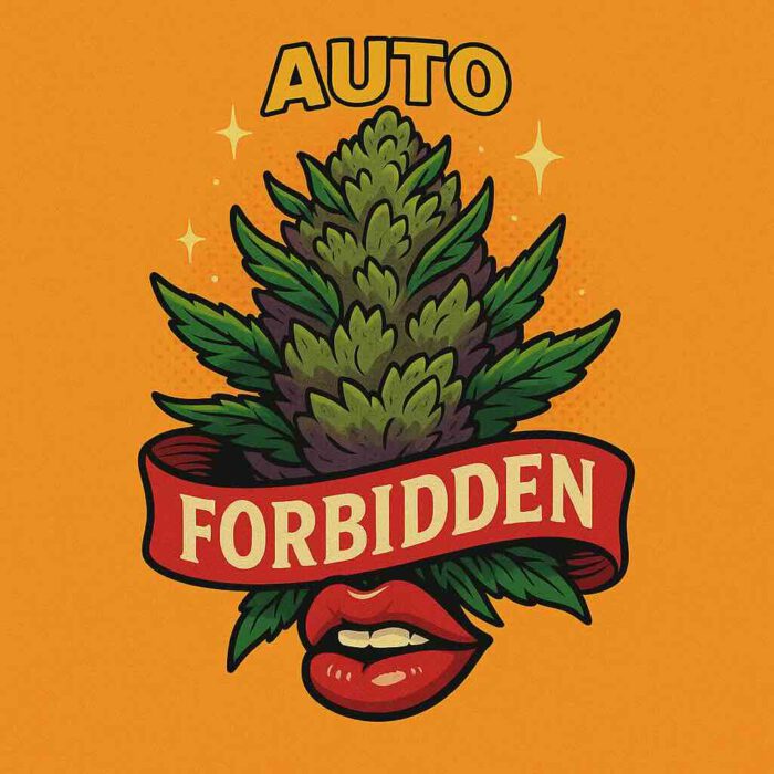 Comic-Illustration zur Sorte Auto Forbidden – stilisierte Cannabisblüte mit violett-orangen Akzenten vor warmem, orangem Hintergrund
