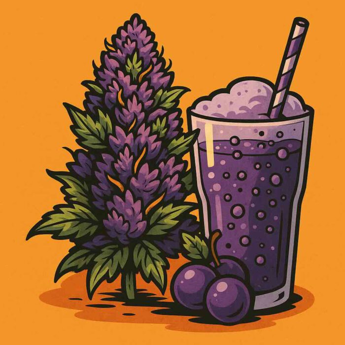 Comic-Illustration zur Sorte Auto Grape Soda – stilisierte Cannabisblüte mit lila Trauben-Elementen vor warmem, orangem Hintergrund