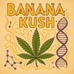 Comic-Illustration zur Sorte Banana Kush – stilisierte Cannabisblüte vor zwei reifen Bananen, gold-gelber Hintergrund mit Strahlenmuster
