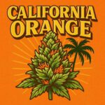 Comic-Illustration zur Sorte California Orange – stilisierte Cannabisblüte mit goldener Retro-Schrift und Palme vor orangefarbenem Sonnenhintergrund