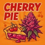 Comic-Illustration zur Sorte Cherry Pie – pink-rote Cannabisblüte neben einem Kirschkuchen im Comic-Stil, vor orangefarbenem Hintergrund mit fettem Retro-Schriftzug
