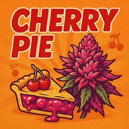Comic-Illustration zur Sorte Cherry Pie – pink-rote Cannabisblüte neben einem Kirschkuchen im Comic-Stil, vor orangefarbenem Hintergrund mit fettem Retro-Schriftzug