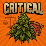 Comic-Illustration zur Sorte Critical – grüne Cannabisblüte mit Waage-Symbol im Hintergrund und fettem Schriftzug vor orangefarbenem Hintergrund