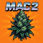 Comic-Illustration der Sorte MAC 2 – grün-lila Cannabis-Bud mit funkelnden Details, futuristischem Schriftzug „MAC 2“ vor orangefarbenem Hintergrund.