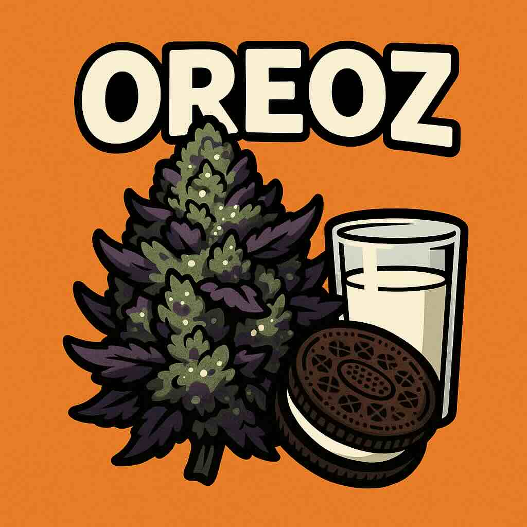 Oreoz Comic-Illustration „Oreoz“ – frostige grün-lila Cannabis-Bud mit Keks und Glas Milch vor orangefarbenem Hintergrund.