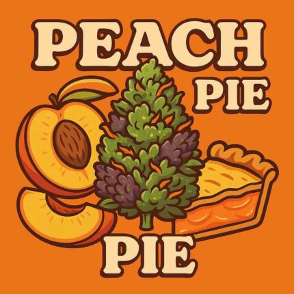 Peach Pie Cannabis Samen von German Bulk seeds