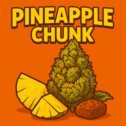 Comic-Illustration „Pineapple Chunk“ – grün-gelbe Cannabis-Bud mit Ananasstücken vor orangefarbenem Hintergrund.