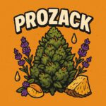 Comic-Illustration „Prozack“ – kompakte Cannabis-Bud mit Lavendelblüten, Harztropfen und orangenem Hintergrund.