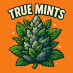 True Mints feminisierte Cannabis-Samen – frostige Buds mit frischem Minzaroma und hoher Potenz im stylischen Produktdesig