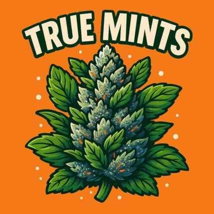 True Mints feminisierte Cannabis-Samen – frostige Buds mit frischem Minzaroma und hoher Potenz im stylischen Produktdesig