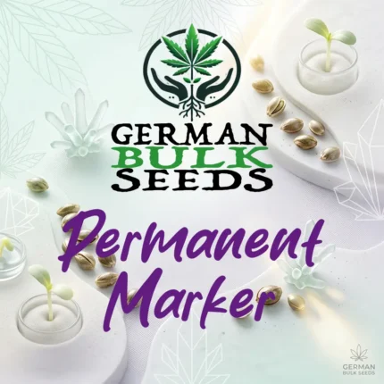 Permanent Marker feminisierte Cali Samen – German Bulk Seeds