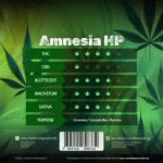 Amnesia HP – Der Klassiker auf Steroiden - Image 2