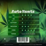 Auto Runtz – Süß wie Candy, hart wie Beton - Image 2