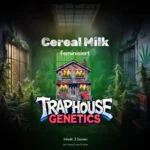 Cereal Milk – Ein echtes Traphouse Frühstück