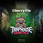 Cherry Pie – Das Dessert ist serviert
