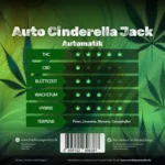 Auto Cinderella Jack – Die Kleine mit dem großen Punch - Image 2