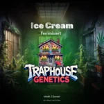 Ice Cream – Kein Kindereis