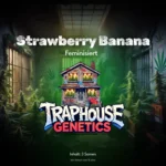 Strawberry Banana – Frucht trifft Fruchtig