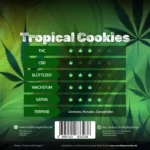 Tropical Cookies – Fast wie Urlaub - Image 2