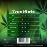 True Mints – Arktisches Gas mit kristallinem Druck - Image 2