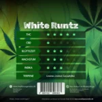 White Runtz – Süßes Feuer mit weißem Frost - Image 2